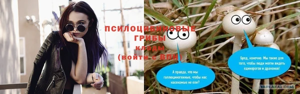 крисы Горнозаводск