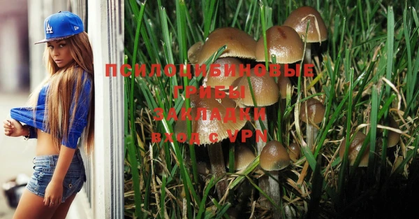 гашик Горняк