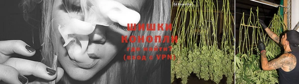 крисы Горнозаводск