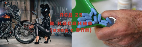гашик Горняк