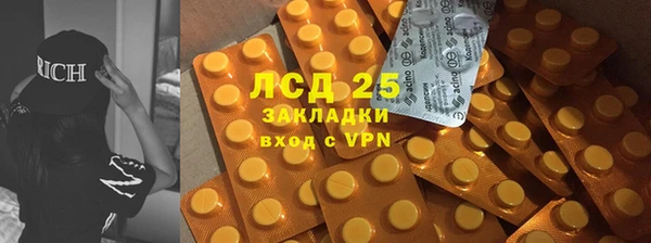 гашик Горняк