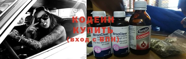 гашик Горняк