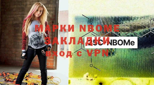 гашик Горняк