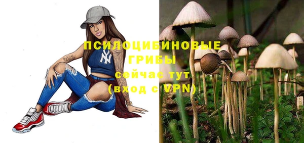марки lsd Горно-Алтайск