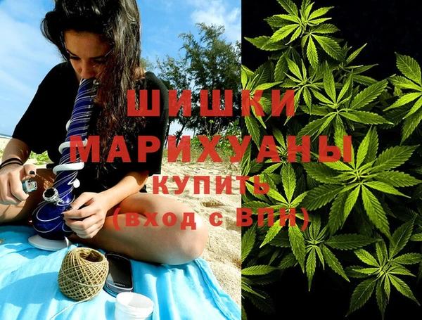 крисы Горнозаводск