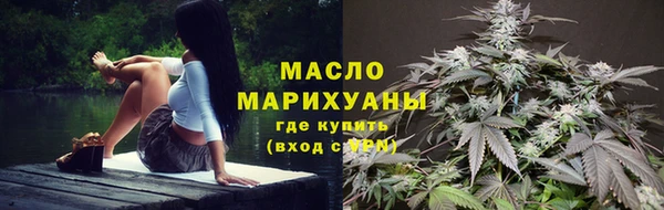 гашик Горняк